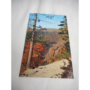 Vintage Postcard unposted Grand Canyon Pennsylvania fall nature 1950s